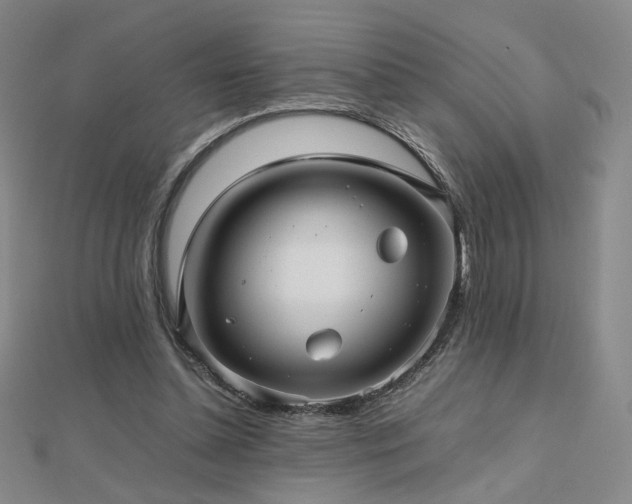 X0000112810348200908211149