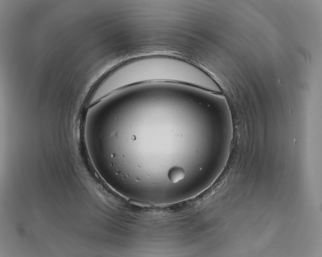 X0000112810350200908211149