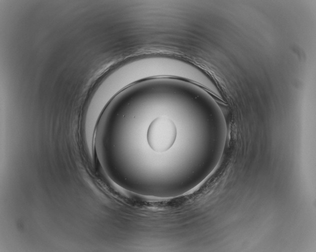 X0000112810352200908211149