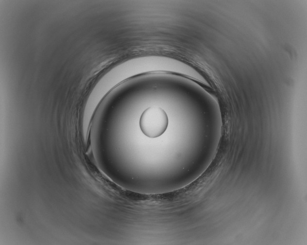 X0000112810356200908211149