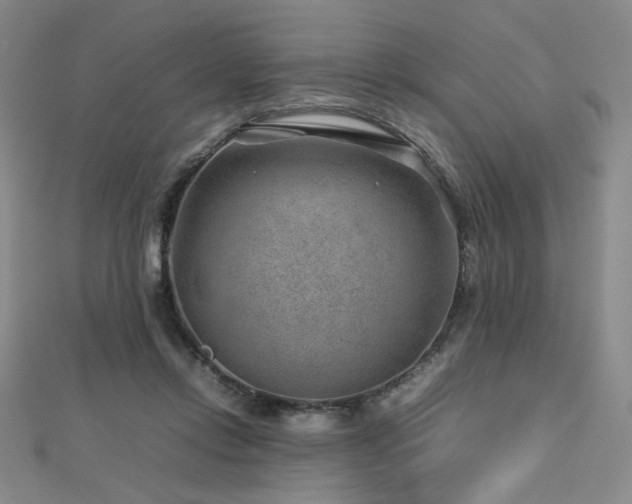 X0000112810358200908211149