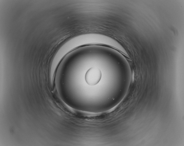 X0000112810360200908211149