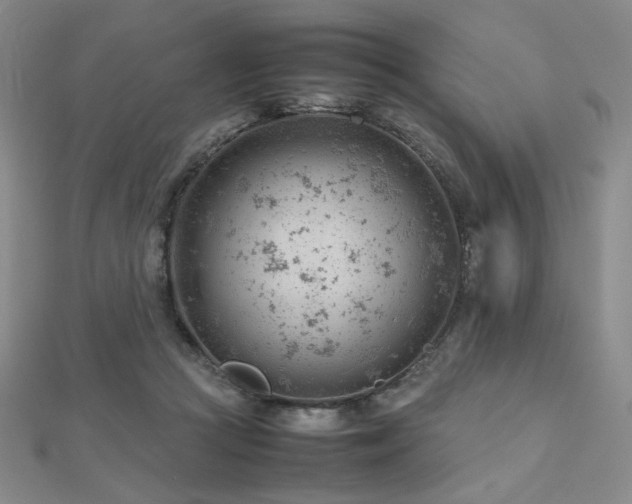 X0000112810361200908211149