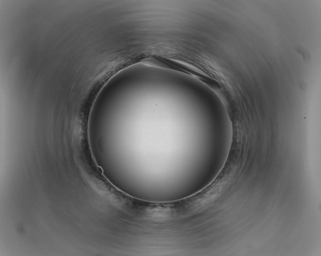 X0000112810362200908211149