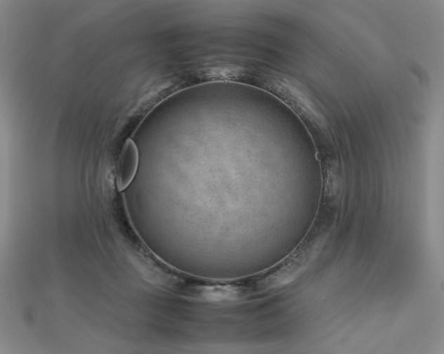 X0000112810363200908211149