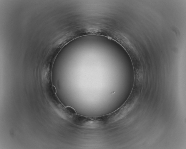X0000112810364200908211149