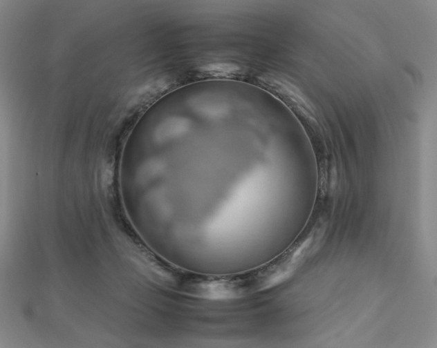 X0000112810365200908211149