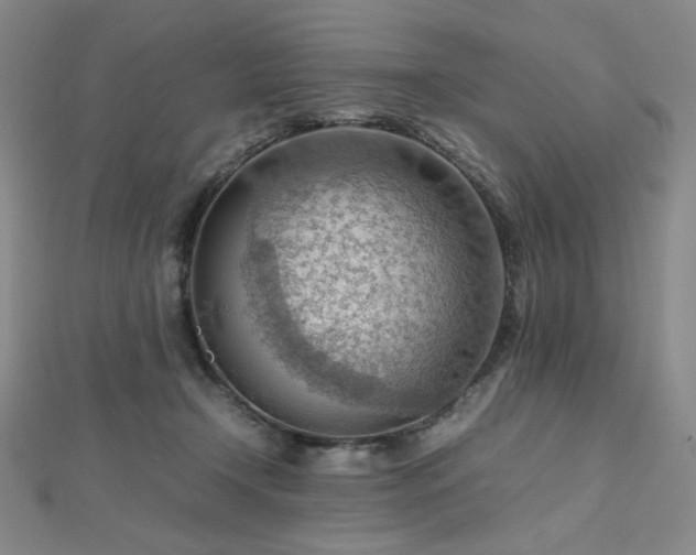 X0000112810366200908211149