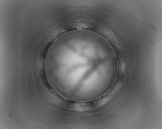X0000112810367200908211149