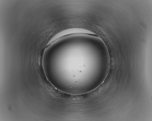 X0000112810368200908211149