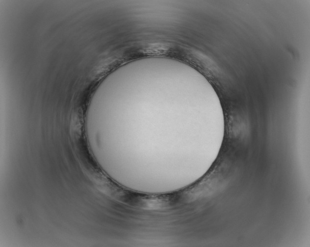 X0000112810370200908211149