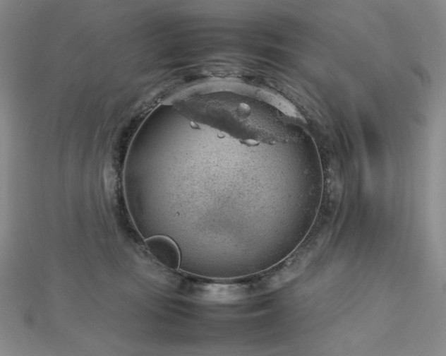 X0000112810371200908211149