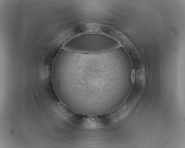 X0000112810372200908211149