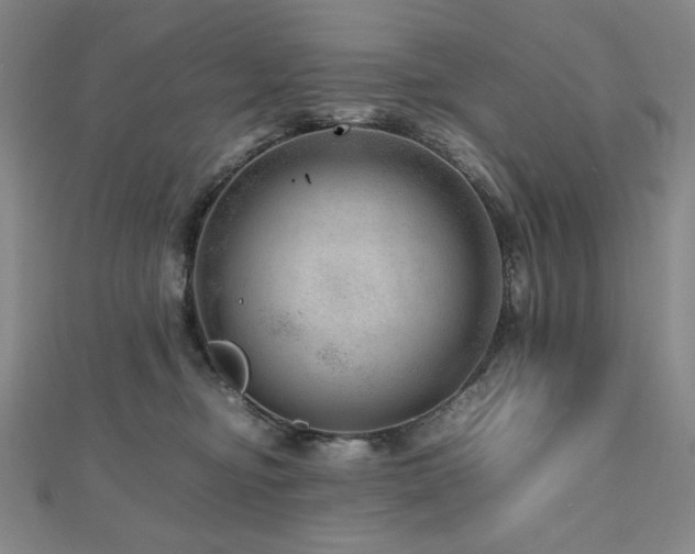 X0000112810374200908211149