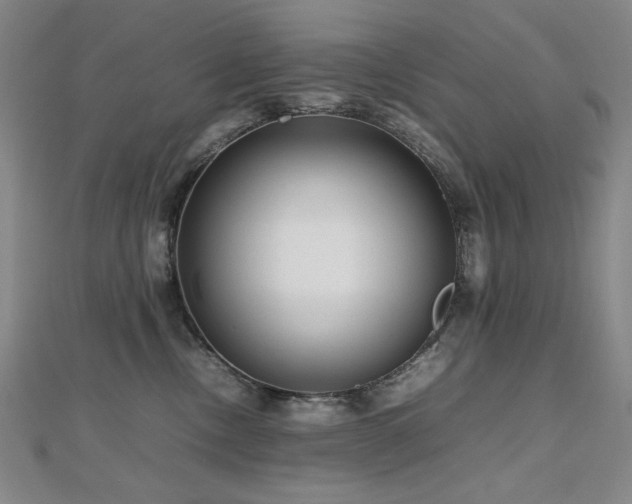 X0000112810378200908211149