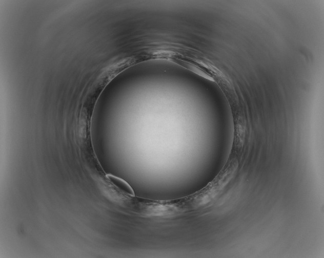 X0000112810379200908211149
