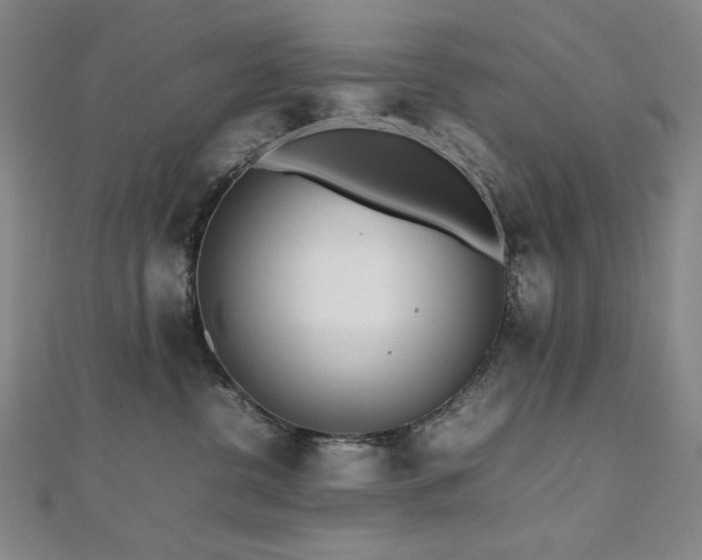 X0000112810380200908211149
