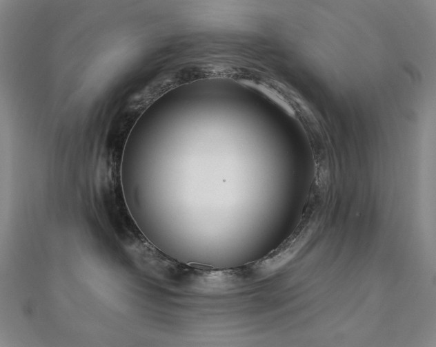 X0000112810382200908211149