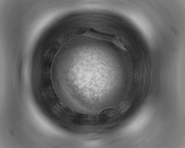 X0000112810383200908211149