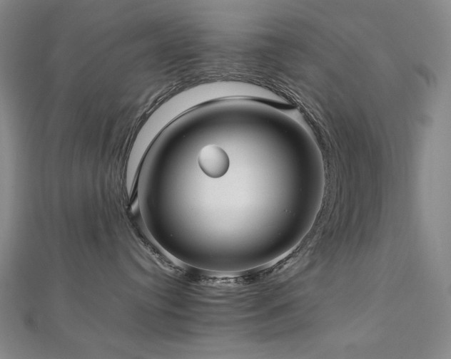 X0000112810384200908211149
