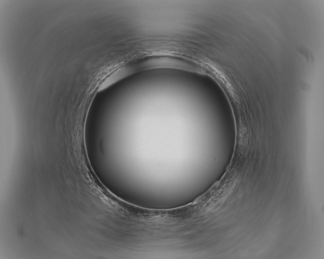 X0000112810385200908211149