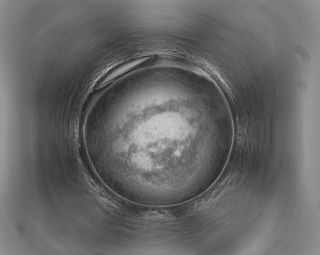 X0000112810386200908211149