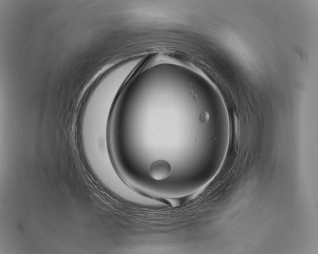 X0000112810387200908211149