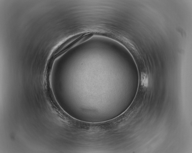 X0000112810388200908211149