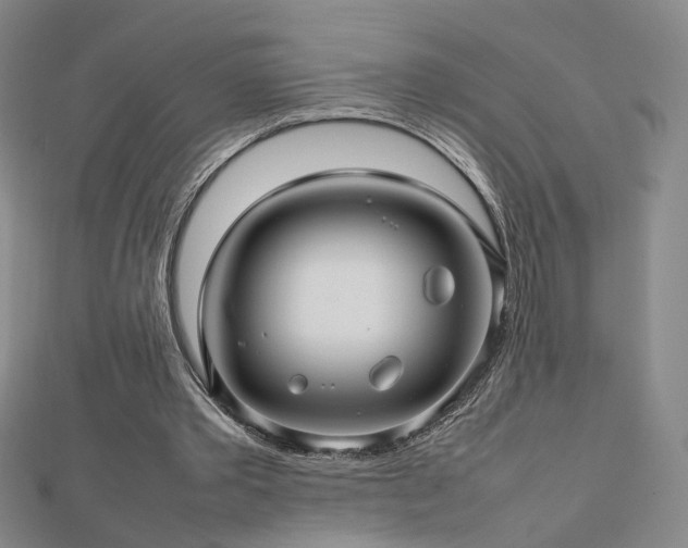 X0000112810389200908211149