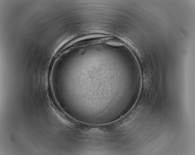 X0000112810390200908211149