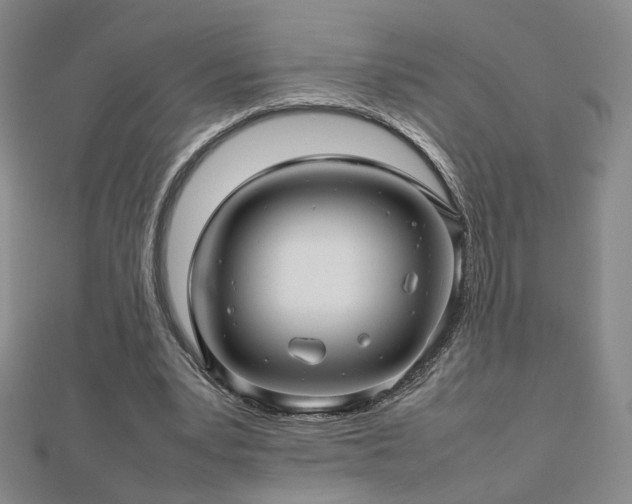 X0000112810391200908211149
