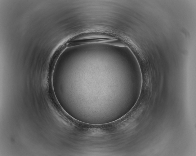 X0000112810392200908211149