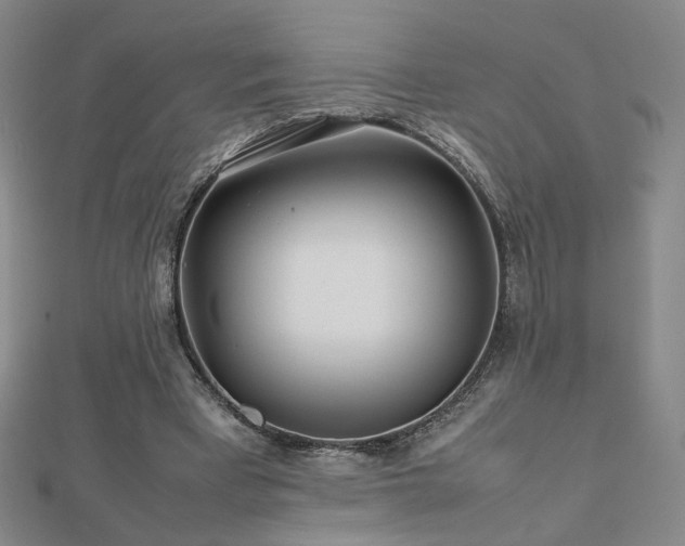 X0000112810393200908211149