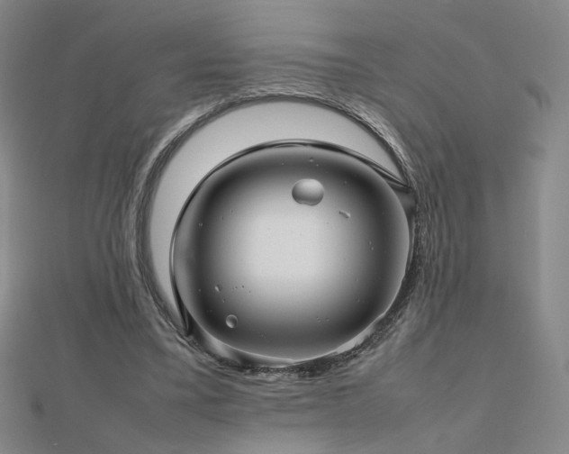 X0000112810395200908211149