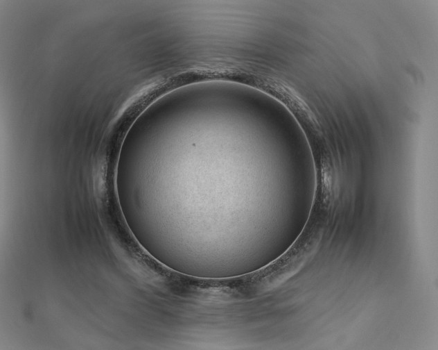 X0000112810396200908211148