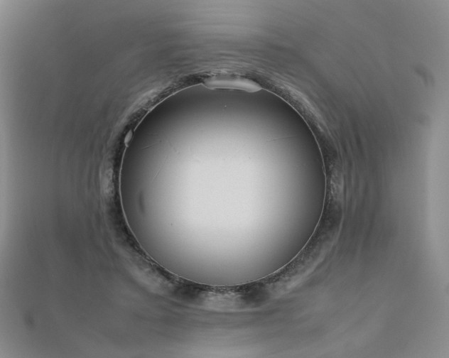 X0000112810403200908211148