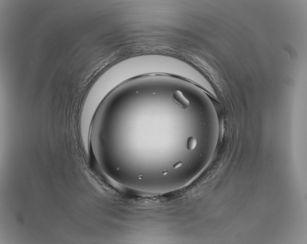X0000112810405200908211148