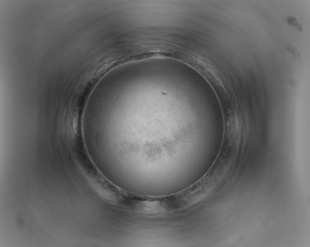 X0000112810406200908211148
