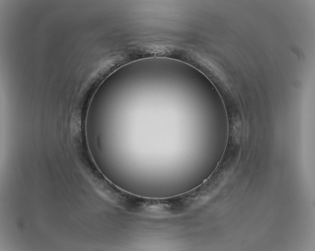 X0000112810407200908211148