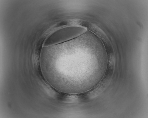 X0000112810409200908211148