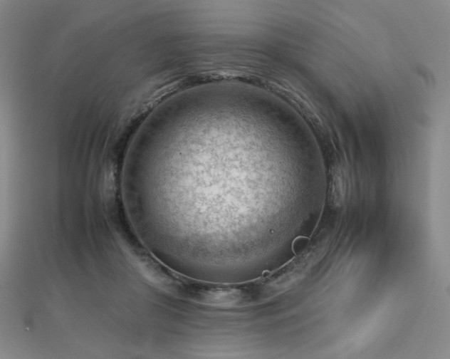 X0000112810410200908211148