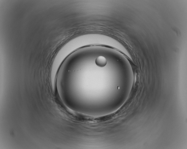 X0000112810411200908211148