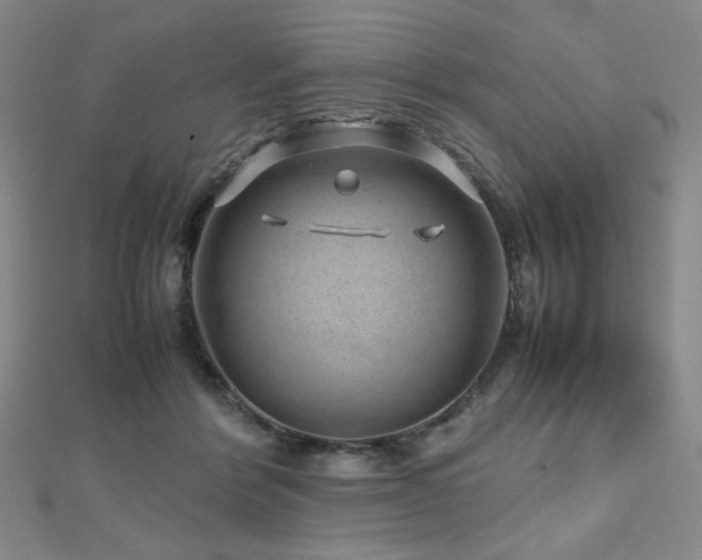 X0000112810412200908211148