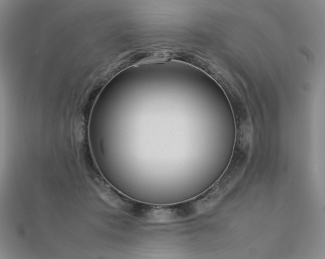 X0000112810413200908211148