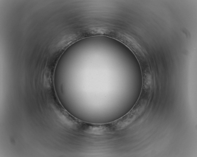 X0000112810414200908211148