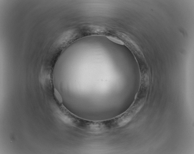 X0000112810415200908211148