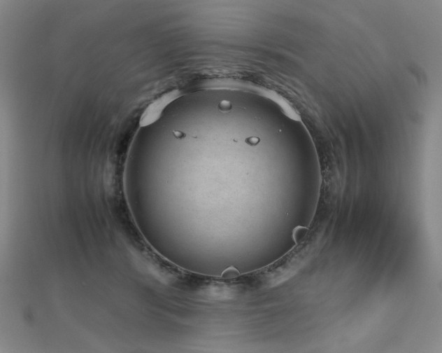 X0000112810416200908211148