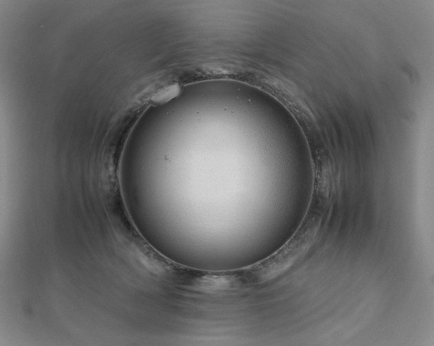 X0000112810418200908211148