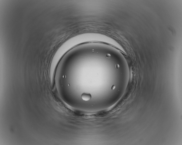 X0000112810419200908211148