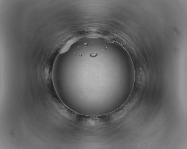 X0000112810420200908211148